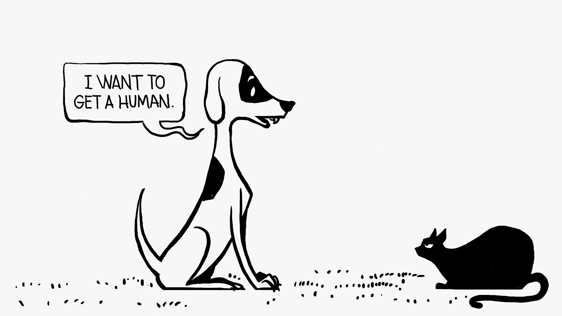 likecatsanddogs