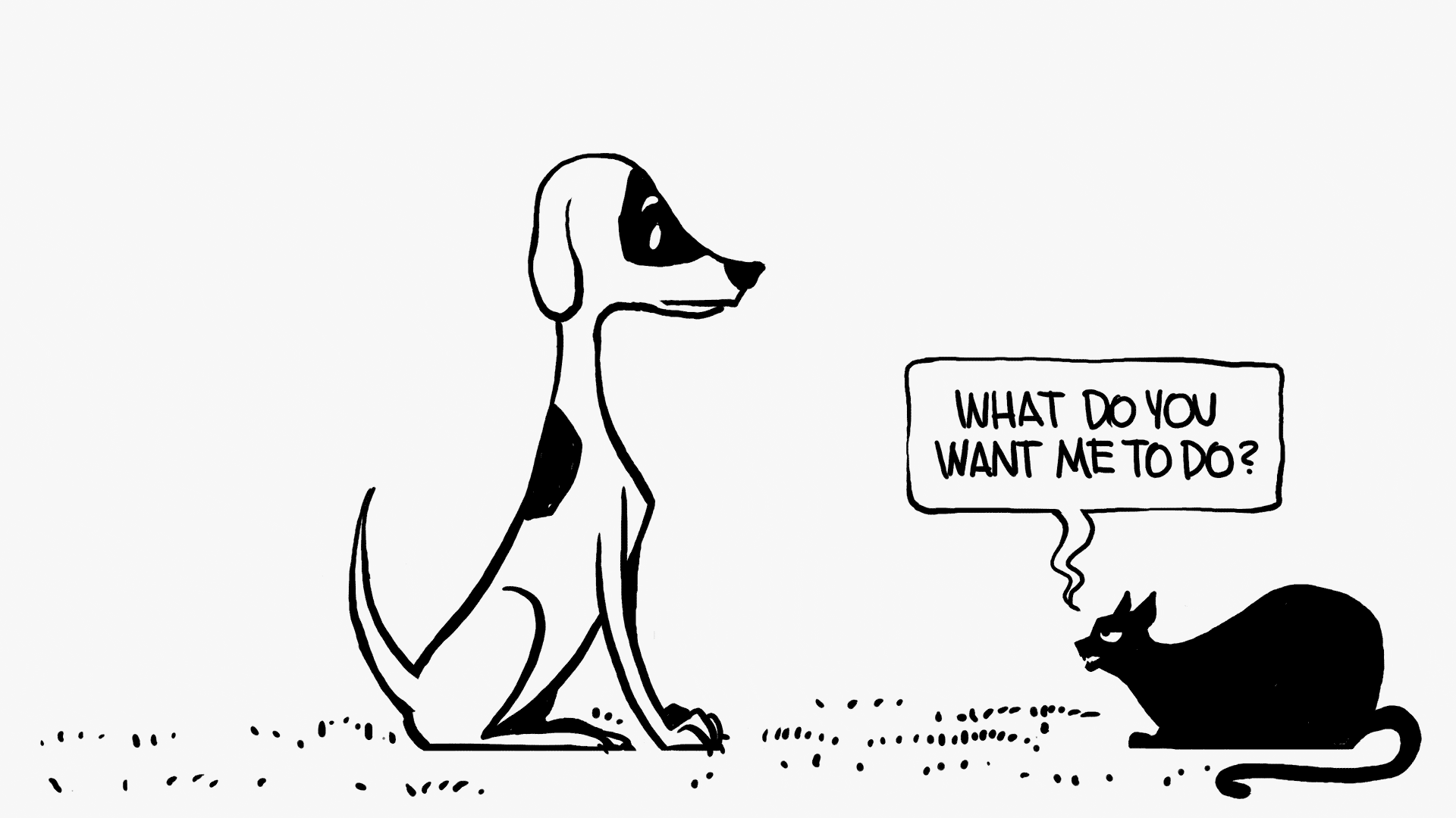 likecatsanddogs