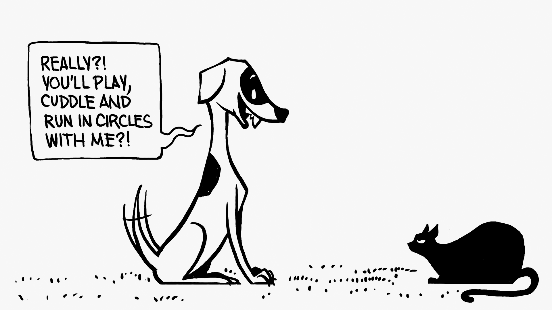 likecatsanddogs